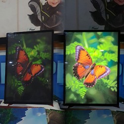 1720453916-h-250-led light frame 22 300x300.jpg